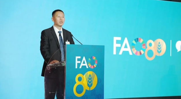 KINGENTA showcases controlled-release fertilizer technology at the FAO global exhibition