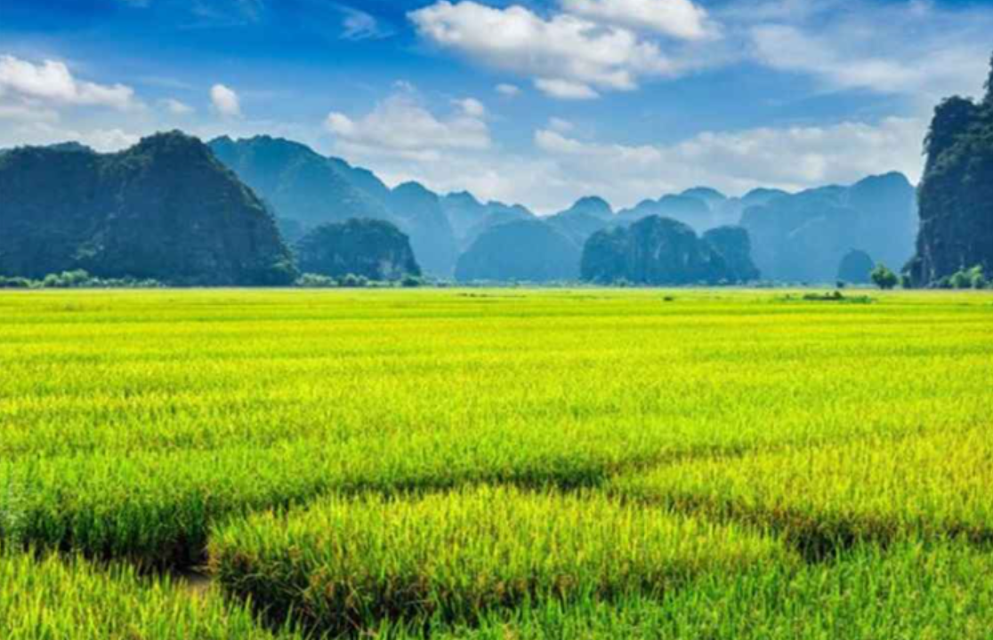 NewSun Crop Science and Minh Long Agro Launch Cropboost AP in Vietnam