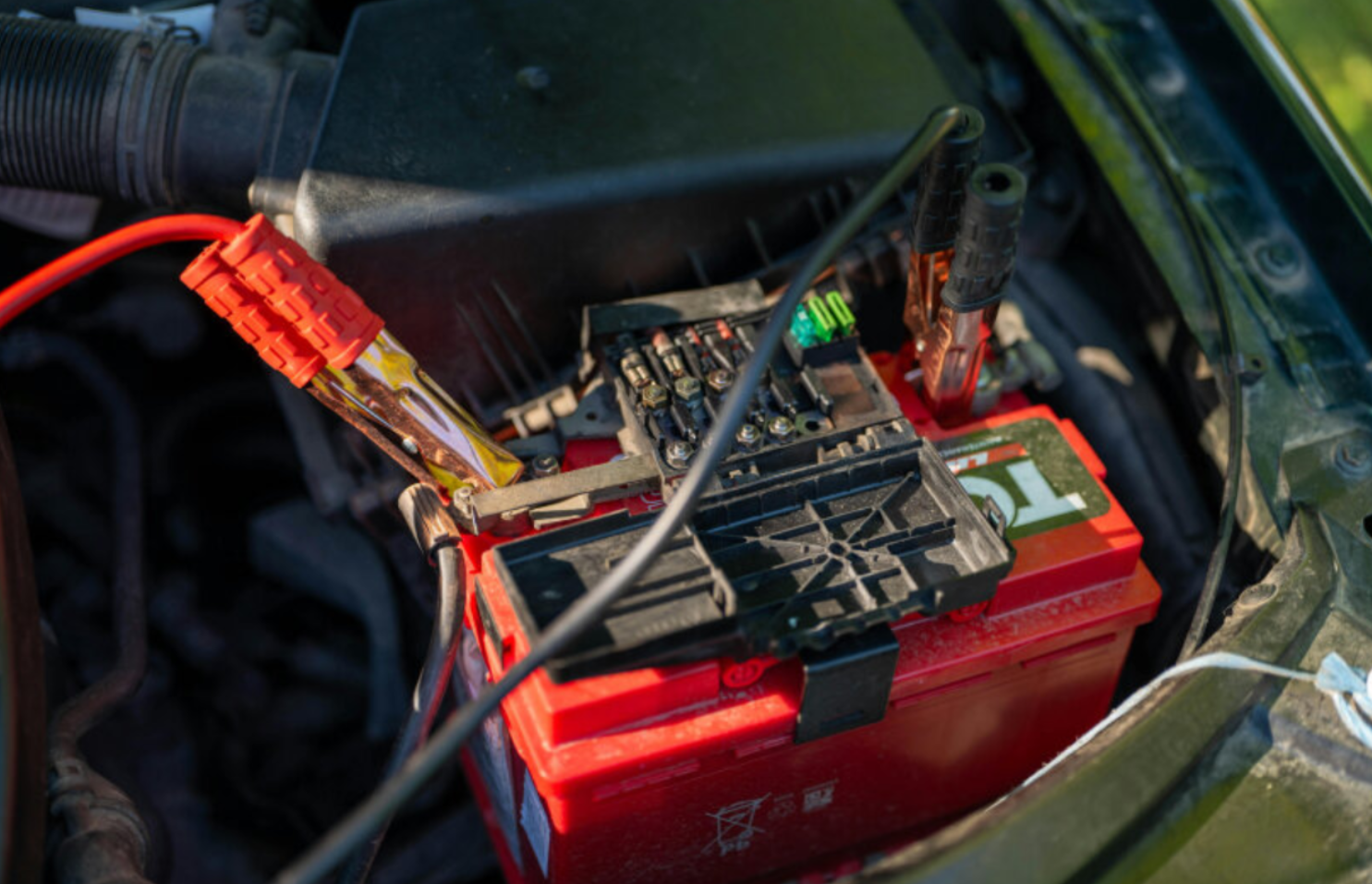 used batteries from electric vehicles return to greener life as fertilizers