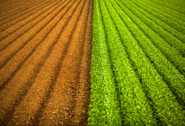 Seawin Biotech’s Innovative Technology Wins National Award, Marking a New Breakthrough in Saline-Alkali Soil Remediation